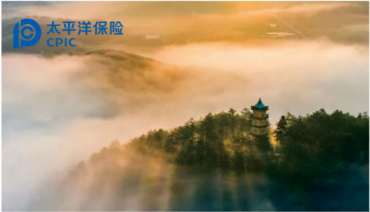交强险和车损险组合详解！适合新手、新车、豪车的专属搭配